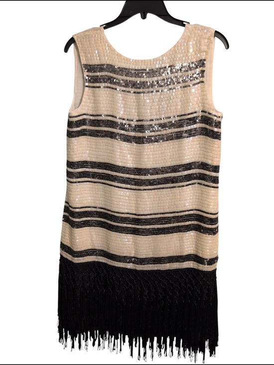 Zara Dresses & Skirts - Zara Women Tango Dress Costume Club Party Sequin Silk India Sexy Fringe Medium